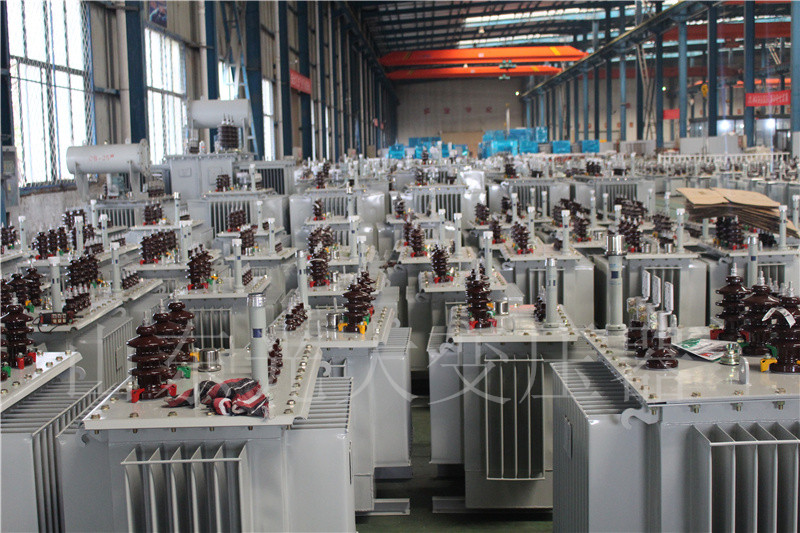 灵台S22-800KVA/10KV油浸式变压器